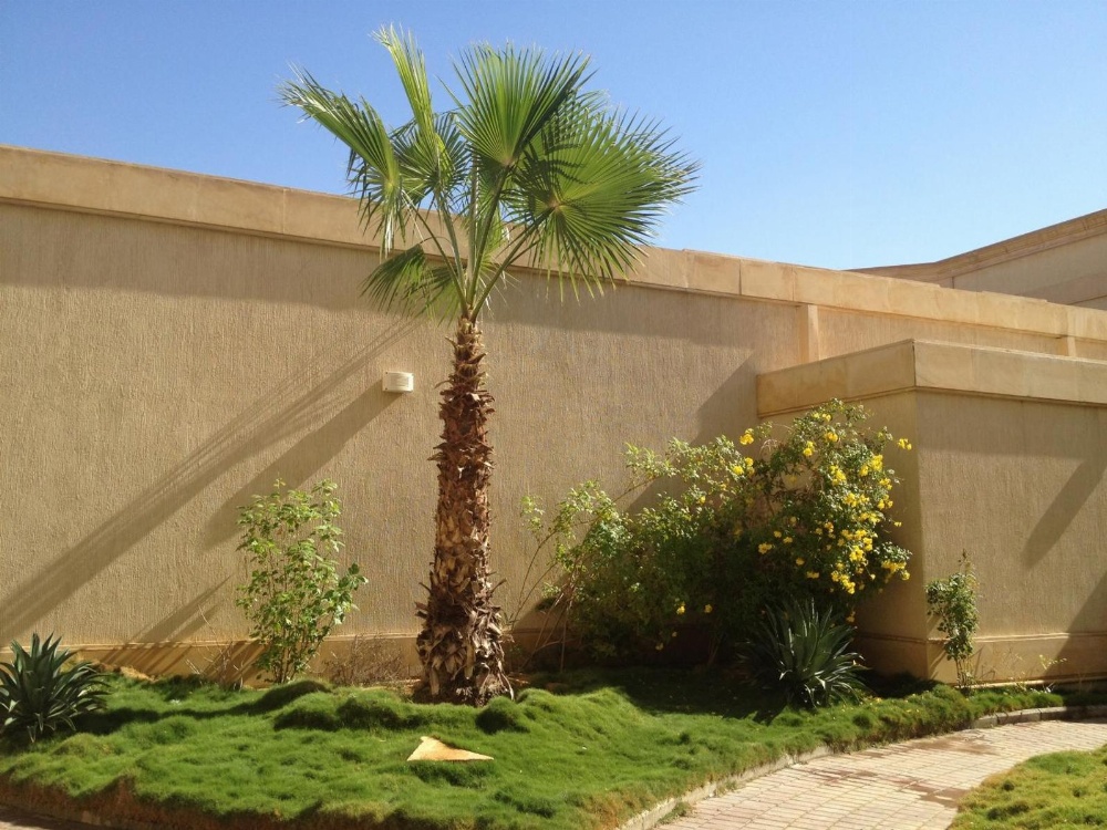 Executives Hotel - Azizia Image 35